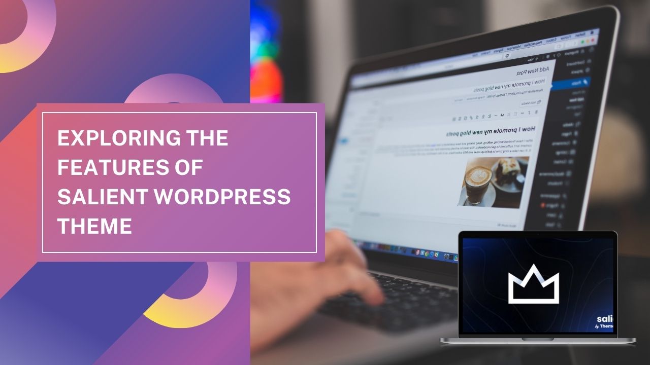 Exploring the Features of Salient WordPress Theme